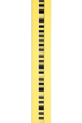 ISBT2 Trimble Digital Level Accessory Barcoded Invar Rod Staff 2m for DINI Series Level