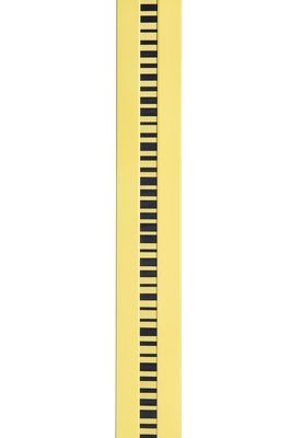 2m 24Kg Invar Barcoded Levelling Rod Staff Extendable Measuring Pole Digital Level