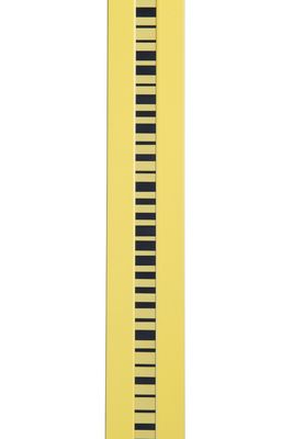 ISBS2 Sokkia SDL Series Digital Level Accessory High Standard Invar Leveling Rod Survey Staff 2m